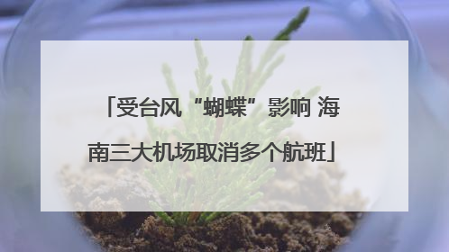 受台风“蝴蝶”影响 海南三大机场取消多个航班