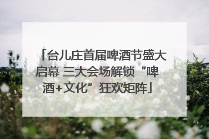 台儿庄首届啤酒节盛大启幕 三大会场解锁“啤酒+文化”狂欢矩阵