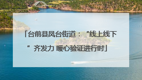 台前县凤台街道：“线上线下”齐发力 暖心验证进行时