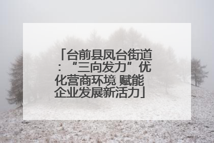 台前县凤台街道：“三向发力”优化营商环境 赋能企业发展新活力