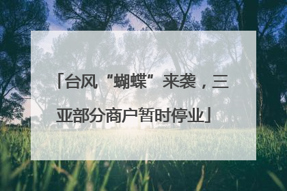 台风“蝴蝶”来袭，三亚部分商户暂时停业
