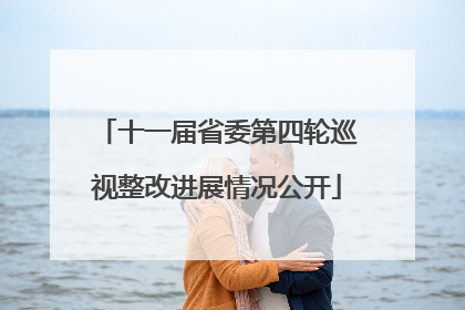 十一届省委第四轮巡视整改进展情况公开