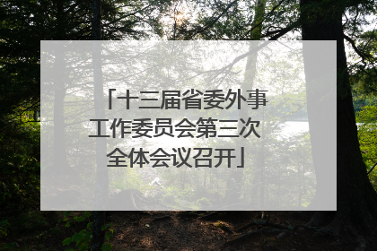 十三届省委外事工作委员会第三次全体会议召开