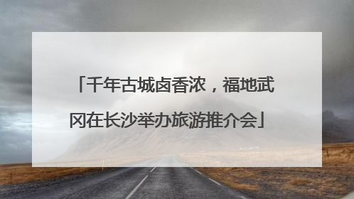 千年古城卤香浓，福地武冈在长沙举办旅游推介会