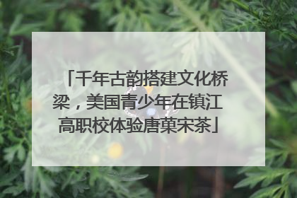 千年古韵搭建文化桥梁，美国青少年在镇江高职校体验唐菓宋茶