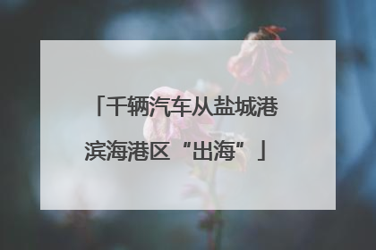 千辆汽车从盐城港滨海港区“出海”