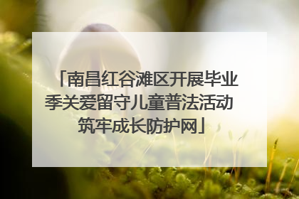 南昌红谷滩区开展毕业季关爱留守儿童普法活动 筑牢成长防护网
