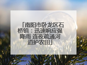 南阳市卧龙区石桥镇：迅速响应强降雨 连夜疏通河道护农田
