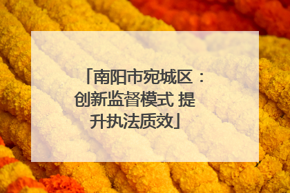 南阳市宛城区：创新监督模式 提升执法质效