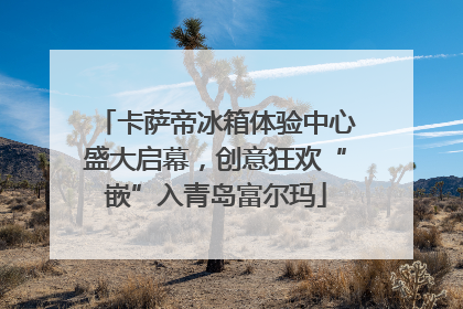卡萨帝冰箱体验中心盛大启幕，创意狂欢“嵌”入青岛富尔玛