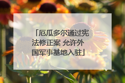 厄瓜多尔通过宪法修正案 允许外国军事基地入驻