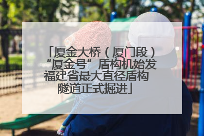 厦金大桥（厦门段）“厦金号”盾构机始发 福建省最大直径盾构隧道正式掘进
