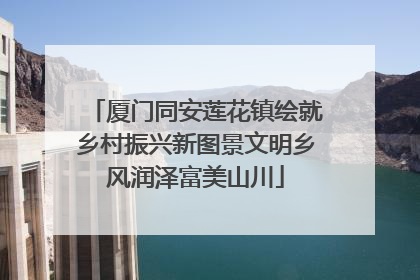 厦门同安莲花镇绘就乡村振兴新图景文明乡风润泽富美山川