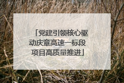 党建引领核心驱动庆章高速一标段项目高质量推进