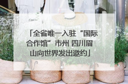全省唯一入驻“国际合作馆”市州 四川眉山向世界发出邀约