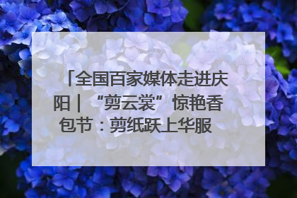 全国百家媒体走进庆阳｜“剪云裳”惊艳香包节：剪纸跃上华服 非遗焕发新彩
