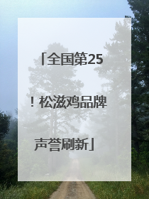 全国第25！松滋鸡品牌声誉刷新