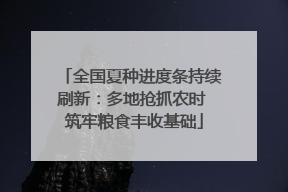 全国夏种进度条持续刷新：多地抢抓农时 筑牢粮食丰收基础