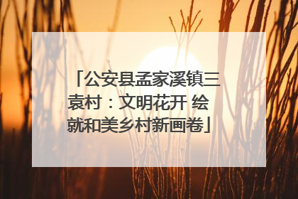 公安县孟家溪镇三袁村：文明花开 绘就和美乡村新画卷