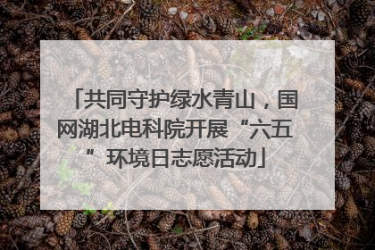 共同守护绿水青山，国网湖北电科院开展“六五”环境日志愿活动