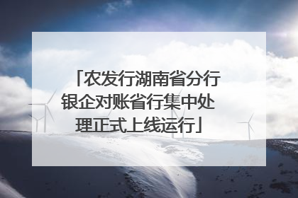 农发行湖南省分行银企对账省行集中处理正式上线运行