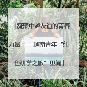 凝聚中越友谊的青春力量——越南青年“红色研学之旅”见闻