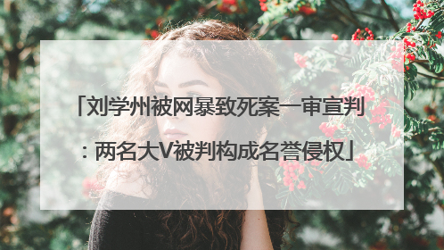 刘学州被网暴致死案一审宣判：两名大V被判构成名誉侵权
