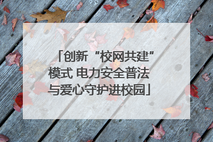 创新“校网共建”模式 电力安全普法与爱心守护进校园