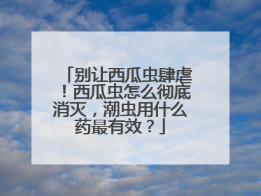 别让西瓜虫肆虐！西瓜虫怎么彻底消灭，潮虫用什么药最有效？