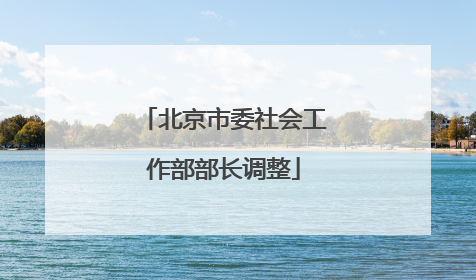 北京市委社会工作部部长调整