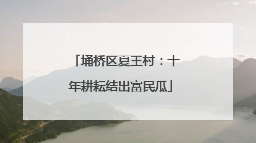 埇桥区夏王村：十年耕耘结出富民瓜