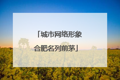 城市网络形象合肥名列前茅