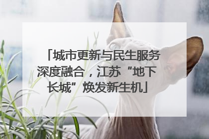 城市更新与民生服务深度融合，江苏“地下长城”焕发新生机