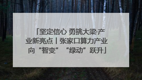 坚定信心 勇挑大梁·产业新亮点丨张家口算力产业向“智变”“绿动”跃升