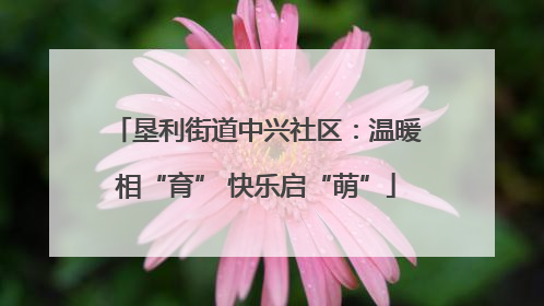 垦利街道中兴社区：温暖相“育” 快乐启“萌”