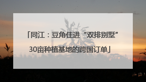 同江：豆角住进“双排别墅” 30亩种植基地的跨国订单