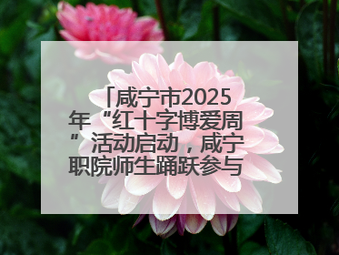 咸宁市2025年“红十字博爱周”活动启动，咸宁职院师生踊跃参与献血活动