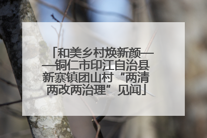 和美乡村焕新颜——铜仁市印江自治县新寨镇团山村“两清两改两治理”见闻