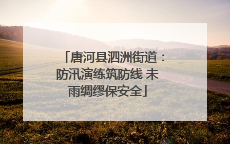 唐河县泗洲街道：防汛演练筑防线 未雨绸缪保安全