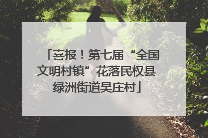 喜报！第七届“全国文明村镇”花落民权县绿洲街道吴庄村