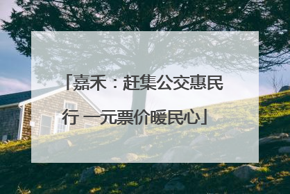 嘉禾：赶集公交惠民行 一元票价暖民心