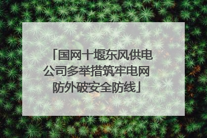 国网十堰东风供电公司多举措筑牢电网防外破安全防线