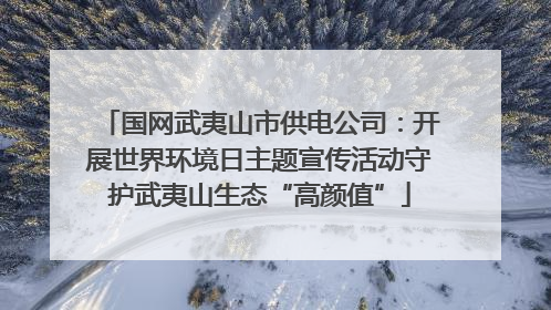 国网武夷山市供电公司：开展世界环境日主题宣传活动守护武夷山生态“高颜值”