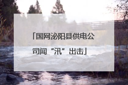 国网泌阳县供电公司闻“汛”出击