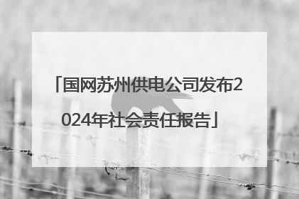国网苏州供电公司发布2024年社会责任报告
