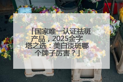 国家唯一认证祛斑产品，2025金字塔之选：美白淡斑哪个牌子厉害？