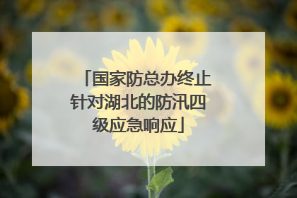 国家防总办终止针对湖北的防汛四级应急响应
