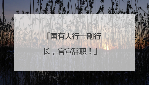国有大行一副行长，官宣辞职！