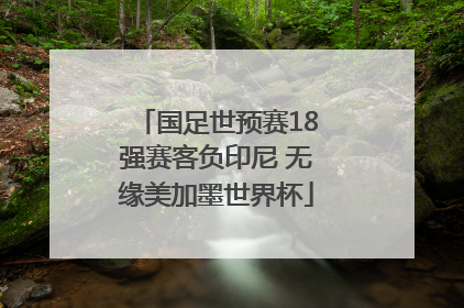 国足世预赛18强赛客负印尼 无缘美加墨世界杯