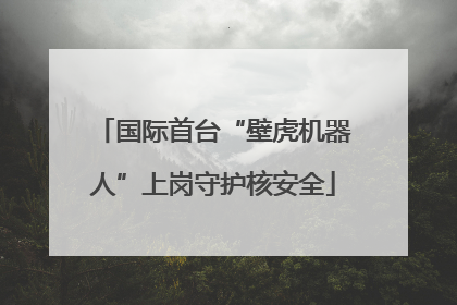 国际首台“壁虎机器人”上岗守护核安全